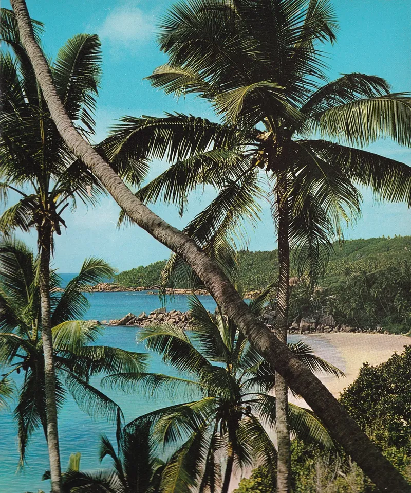 Petite Anse