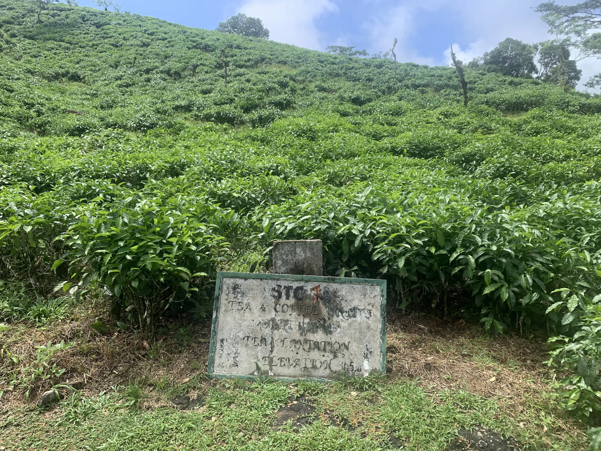 Mahé